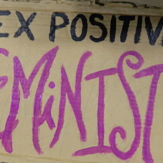 [Image source: http://sexandthestate.com/wp-content/uploads/2013/11/sex-positive-feminism.jpg]